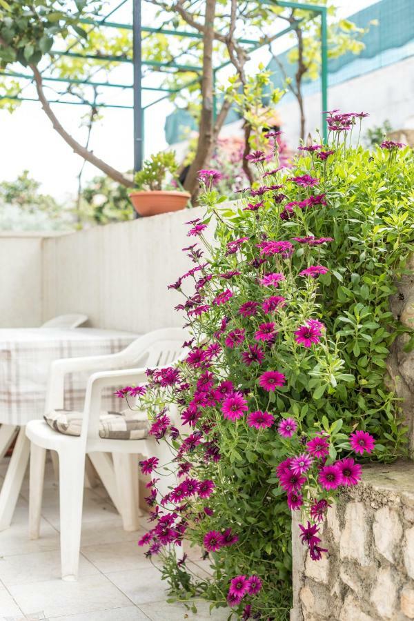 Apartments Rogulj تروغير المظهر الخارجي الصورة